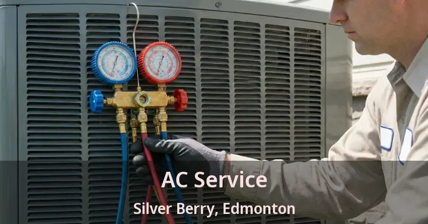 AC Service Silver Berry, Edmonton - AB