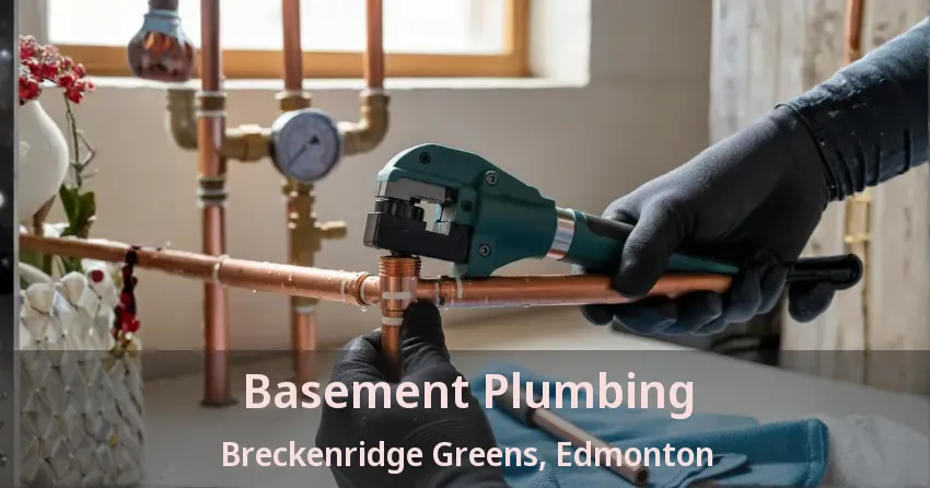 Basement Plumbing Breckenridge Greens, Edmonton - AB