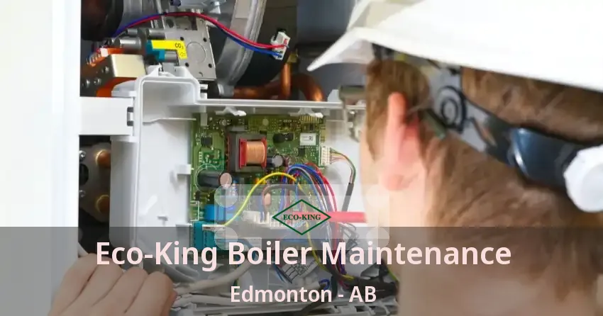Eco‑King Boiler Maintenance Edmonton - AB