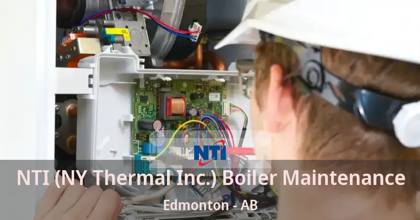 NTI (NY Thermal Inc.) Boiler Maintenance Edmonton - AB