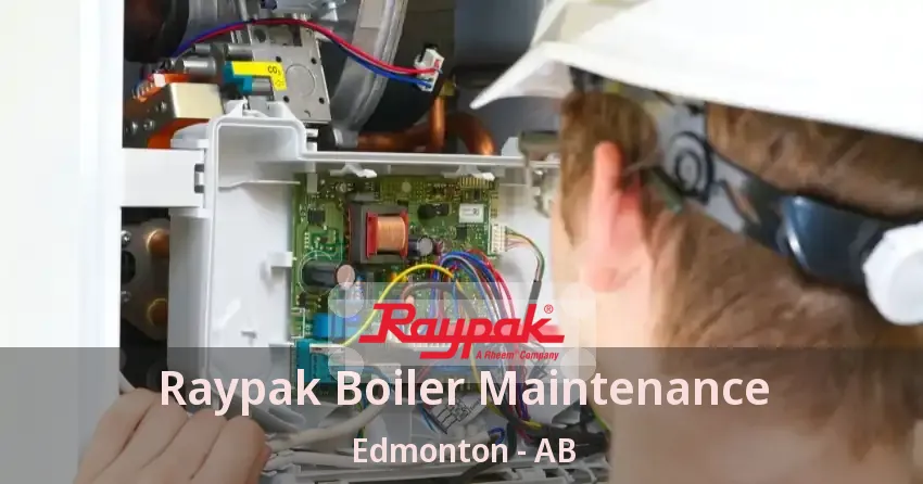 Raypak Boiler Maintenance Edmonton - AB