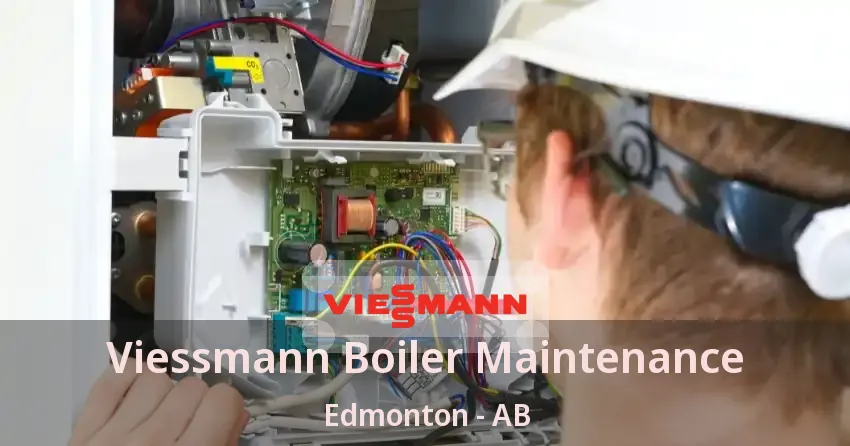Viessmann Boiler Maintenance Edmonton - AB