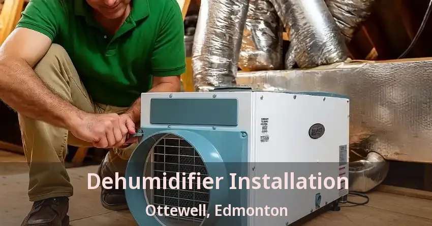 Dehumidifier Installation Ottewell, Edmonton - AB
