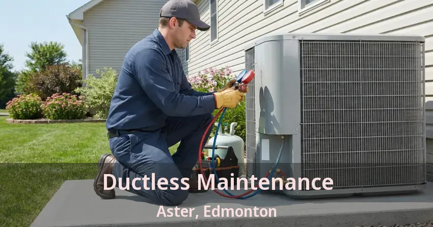 Ductless Maintenance Aster, Edmonton - AB