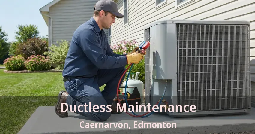 Ductless Maintenance Caernarvon, Edmonton - AB