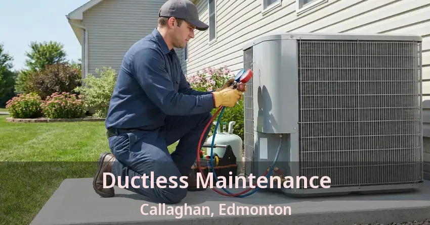 Ductless Maintenance Callaghan, Edmonton - AB