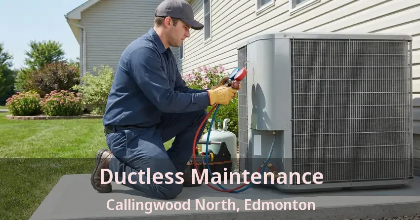 Ductless Maintenance Callingwood North, Edmonton - AB
