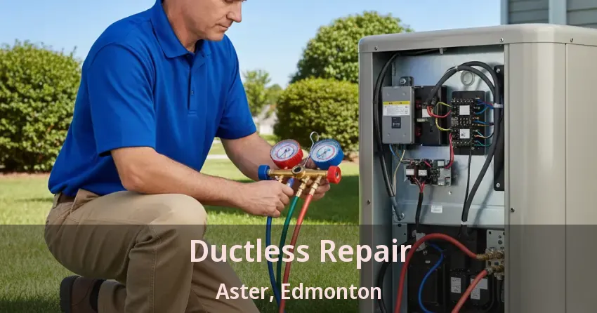 Ductless Repair Aster, Edmonton - AB