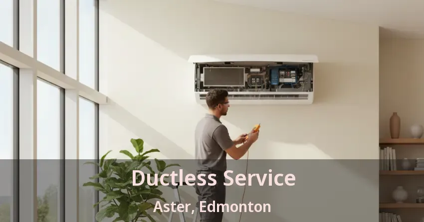 Ductless Service Aster, Edmonton - AB