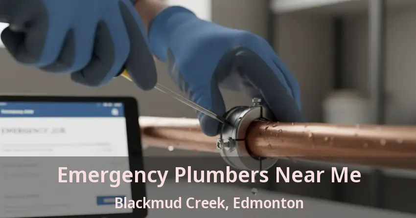 Emergency Plumbers Near Me Blackmud Creek, Edmonton - AB
