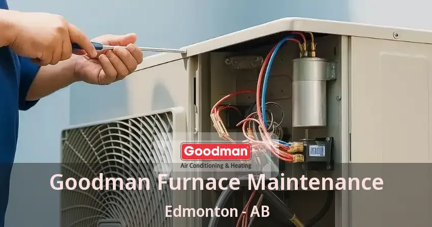 Goodman Furnace Maintenance Edmonton - AB