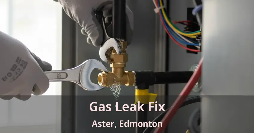 Gas Leak Fix Aster, Edmonton - AB