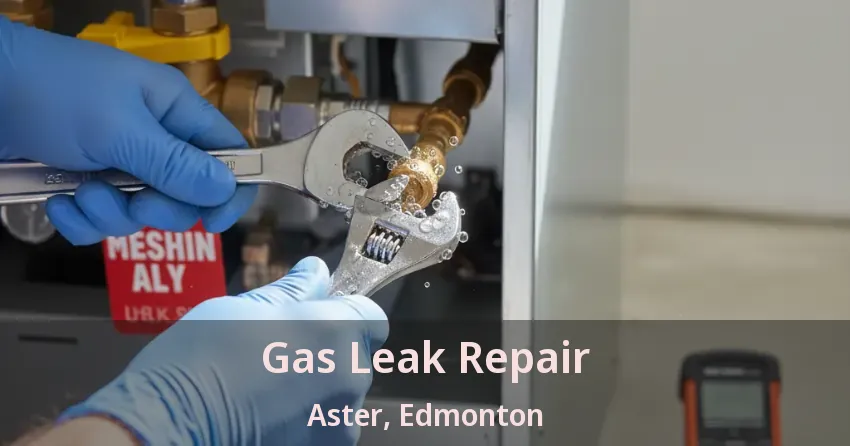 Gas Leak Repair Aster, Edmonton - AB