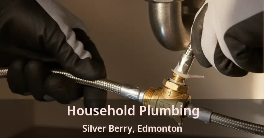 Household Plumbing Silver Berry, Edmonton - AB