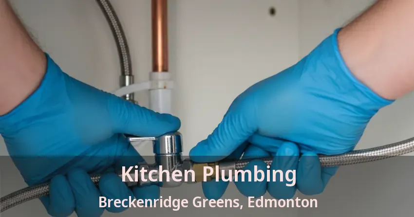Kitchen Plumbing Breckenridge Greens, Edmonton - AB