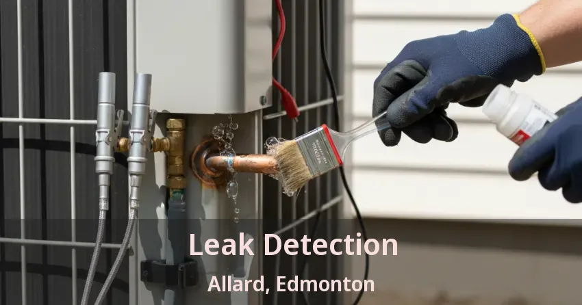 Leak Detection Allard, Edmonton - AB