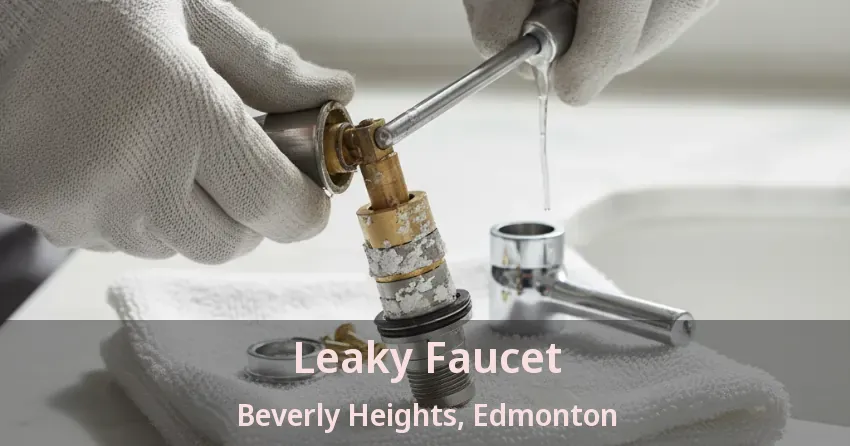 Leaky Faucet Beverly Heights, Edmonton - AB
