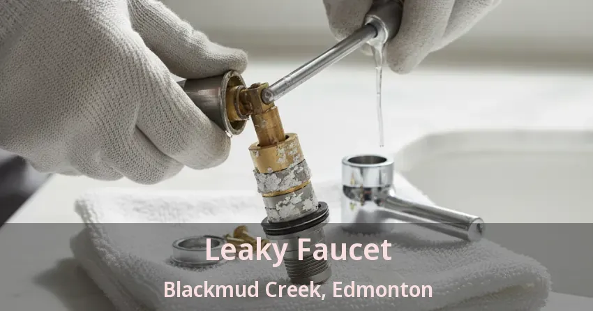 Leaky Faucet Blackmud Creek, Edmonton - AB