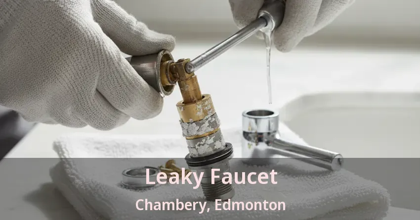 Leaky Faucet Chambery, Edmonton - AB