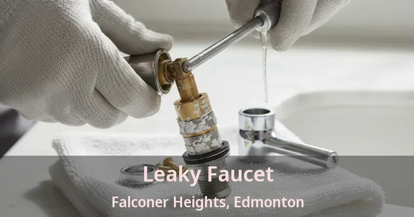 Leaky Faucet Falconer Heights, Edmonton - AB