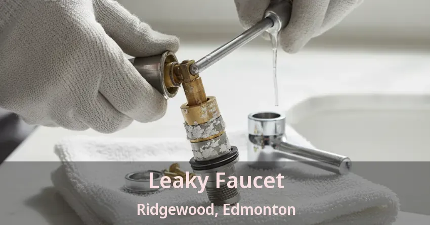 Leaky Faucet Ridgewood, Edmonton - AB