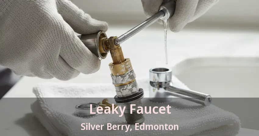 Leaky Faucet Silver Berry, Edmonton - AB