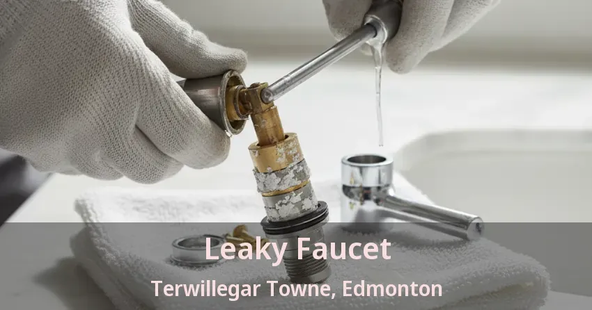 Leaky Faucet Terwillegar Towne, Edmonton - AB