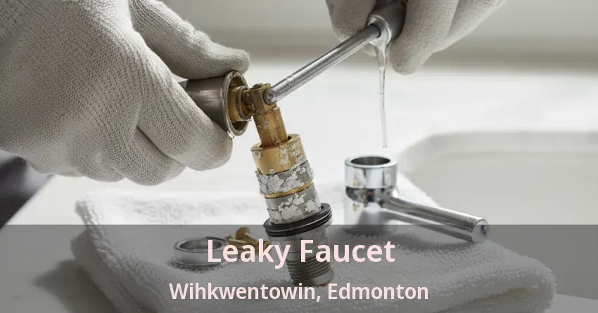 Leaky Faucet Wihkwentowin, Edmonton - AB