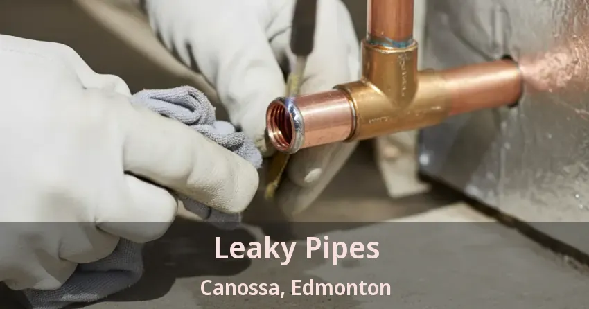 Leaky Pipes Canossa, Edmonton - AB