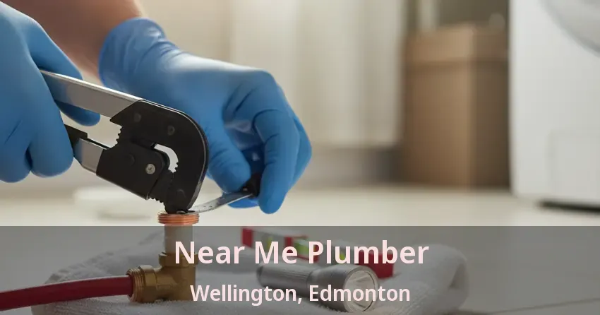 Near Me Plumber Wellington, Edmonton - AB