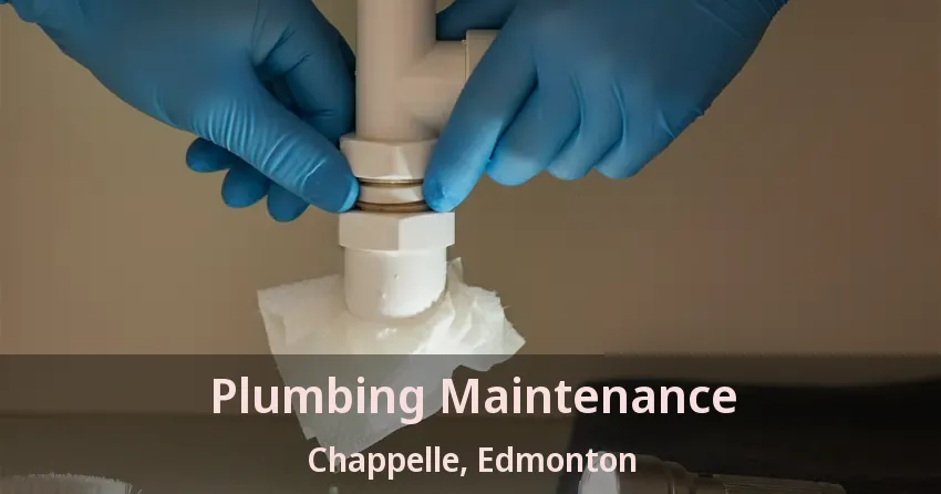 Plumbing Maintenance Chappelle, Edmonton - AB