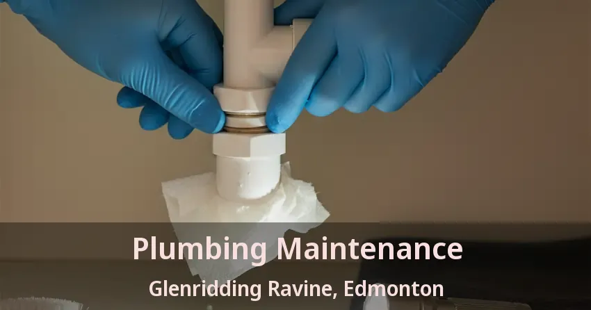 Plumbing Maintenance Glenridding Ravine, Edmonton - AB