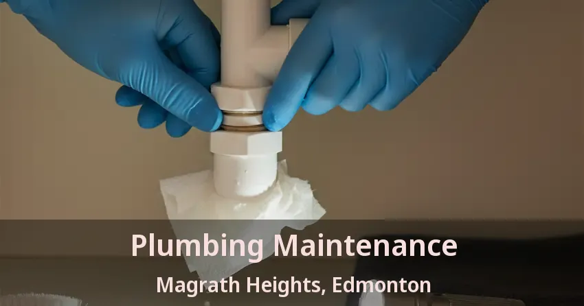 Plumbing Maintenance Magrath Heights, Edmonton - AB