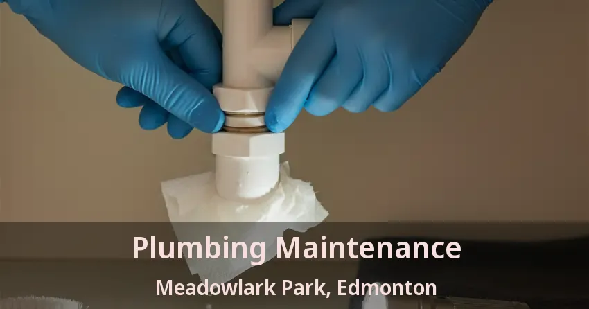 Plumbing Maintenance Meadowlark Park, Edmonton - AB