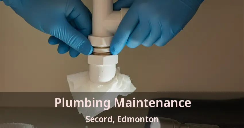 Plumbing Maintenance Secord, Edmonton - AB