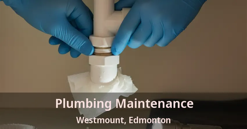 Plumbing Maintenance Westmount, Edmonton - AB