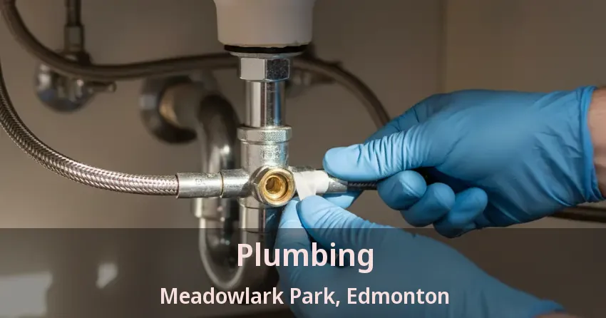 Plumbing Meadowlark Park, Edmonton - AB