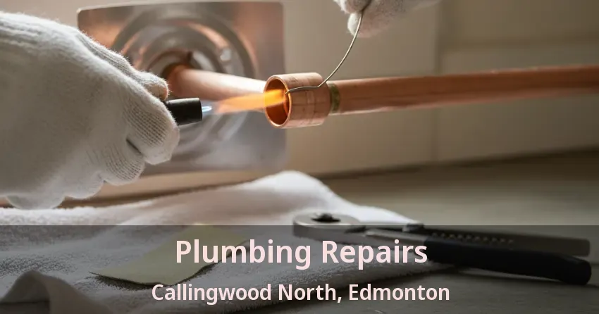 Plumbing Repairs Callingwood North, Edmonton - AB