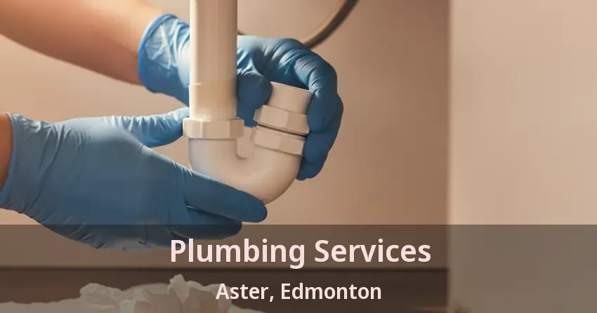 Plumbing Services Aster, Edmonton - AB