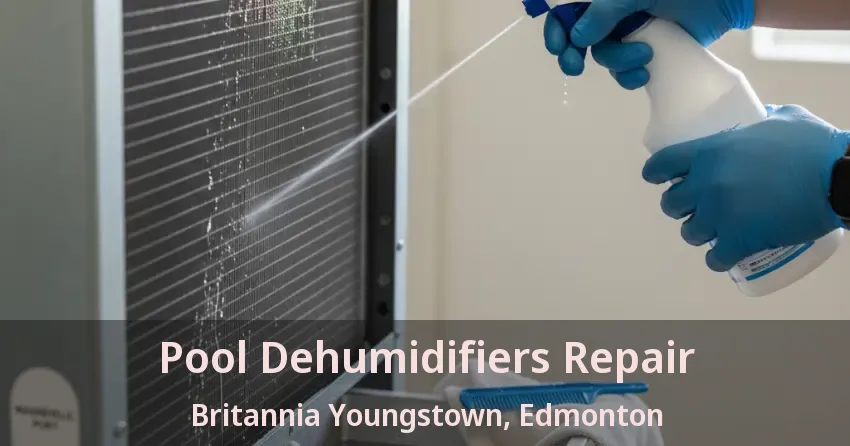 Pool Dehumidifiers Repair Britannia Youngstown, Edmonton - AB