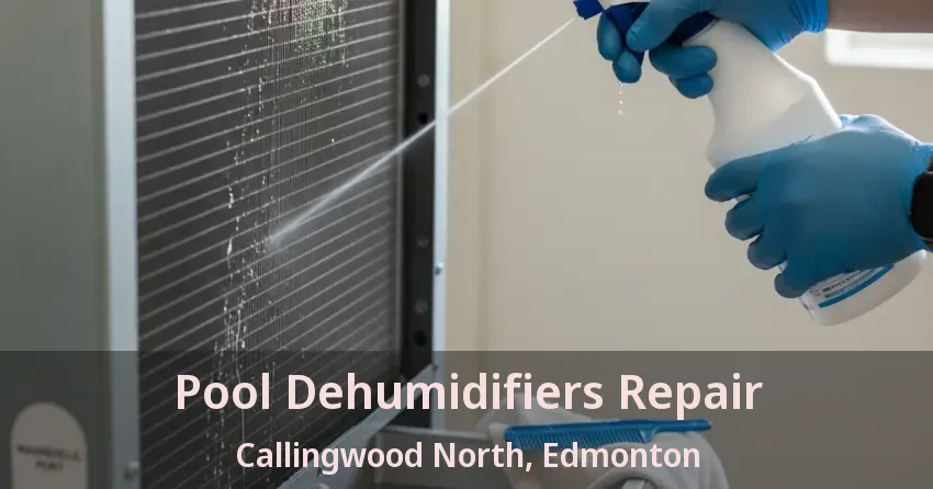 Pool Dehumidifiers Repair Callingwood North, Edmonton - AB