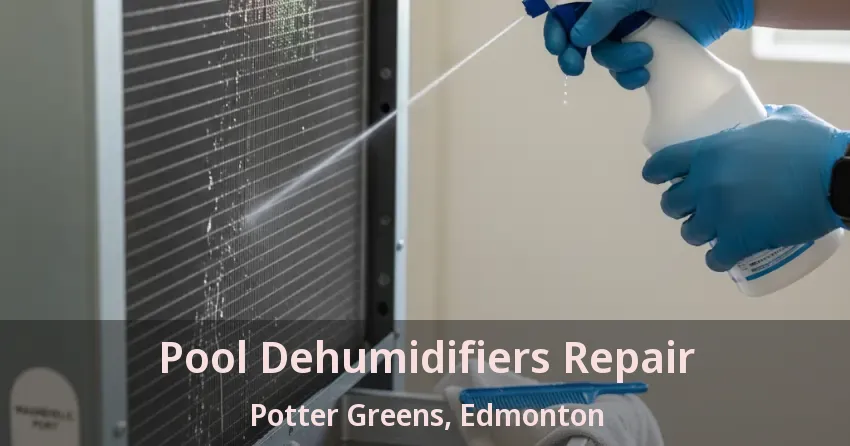 Pool Dehumidifiers Repair Potter Greens, Edmonton - AB