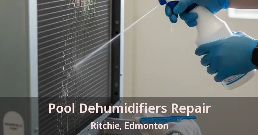 Pool Dehumidifiers Repair Ritchie, Edmonton - AB