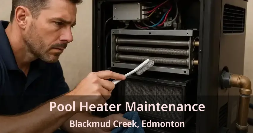 Pool Heater Maintenance Blackmud Creek, Edmonton - AB