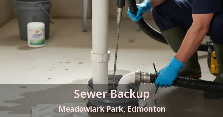 Sewer Backup Meadowlark Park, Edmonton - AB