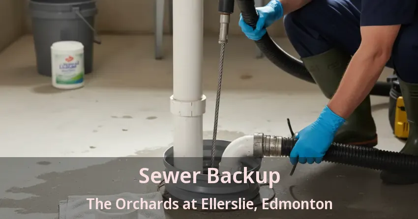 Sewer Backup The Orchards at Ellerslie, Edmonton - AB