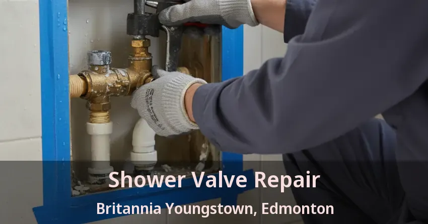 Shower Valve Repair Britannia Youngstown, Edmonton - AB