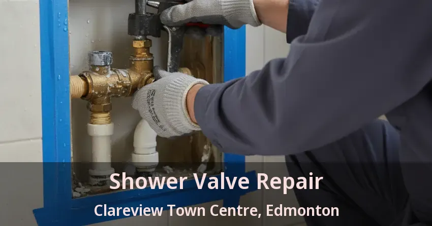 Shower Valve Repair Clareview Town Centre, Edmonton - AB