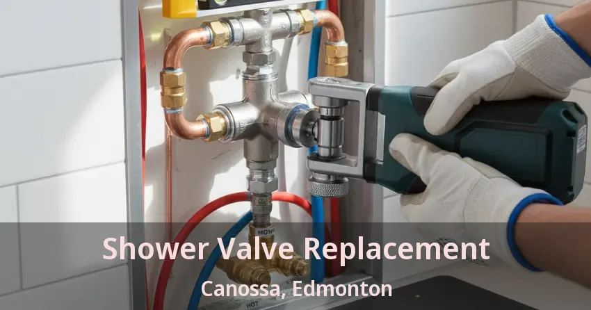 Shower Valve Replacement Canossa, Edmonton - AB