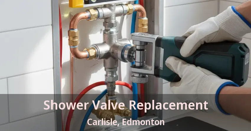 Shower Valve Replacement Carlisle, Edmonton - AB